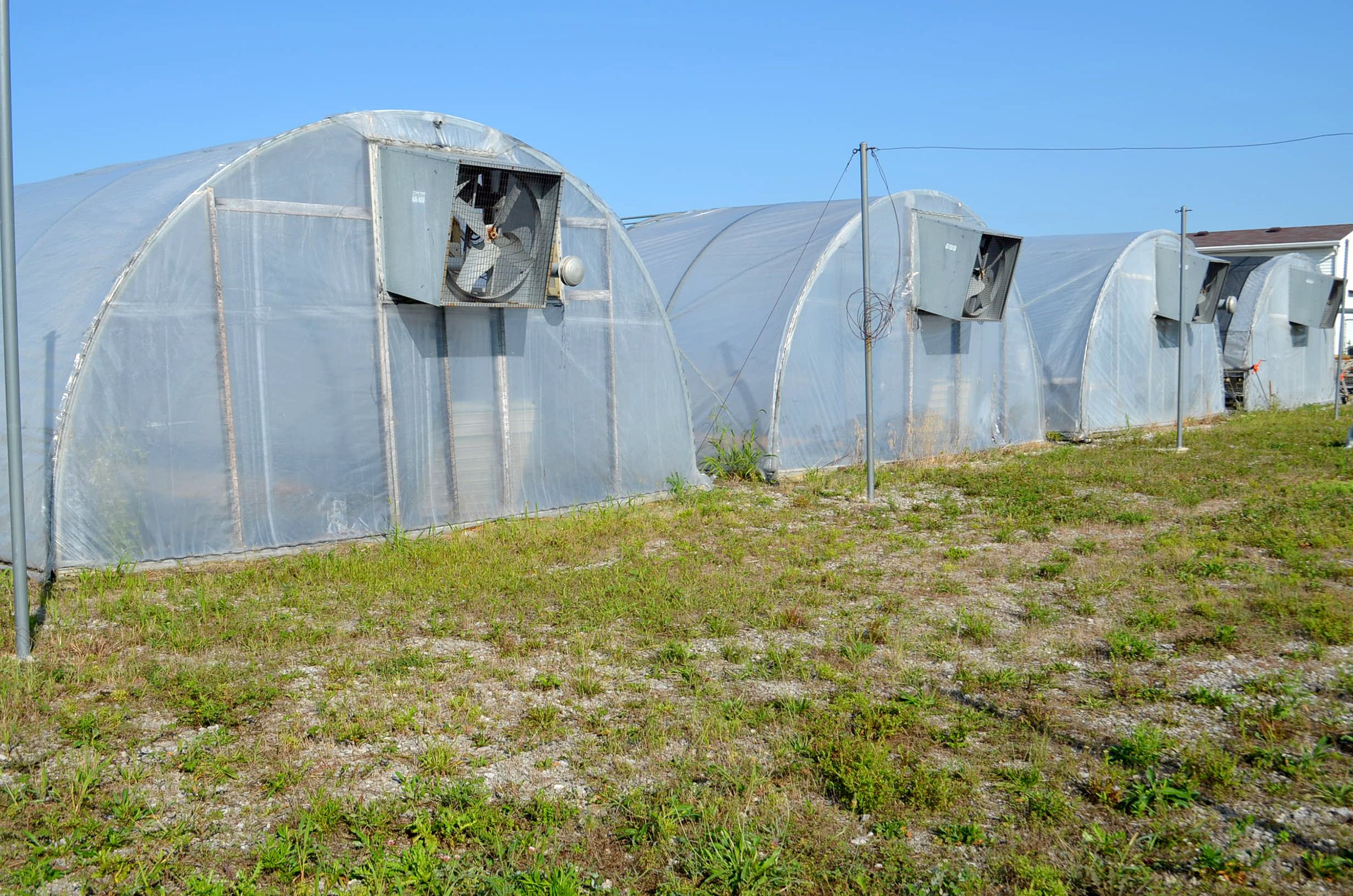 Property photo 105 - PERSONAL PROPERTY AUCTION OF DEWALD GARDENS IN ALLEN COUNTY, INDIANA
